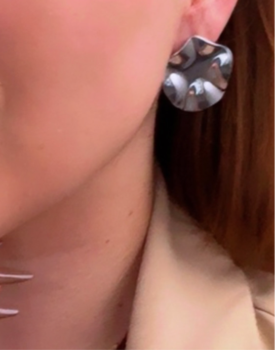 Velvet Shine Earrings
