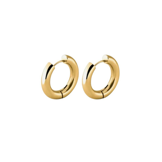 Vane Mini Hoops