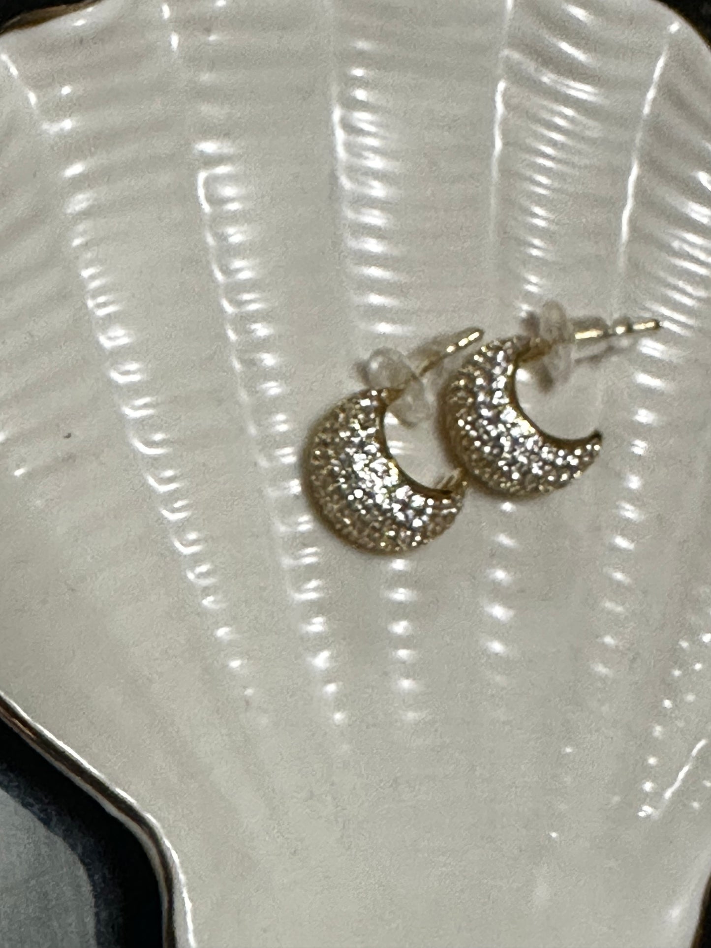Delicate Raingtone Earring